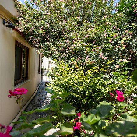 Elisavet'S House Villa Platanias  Luaran gambar