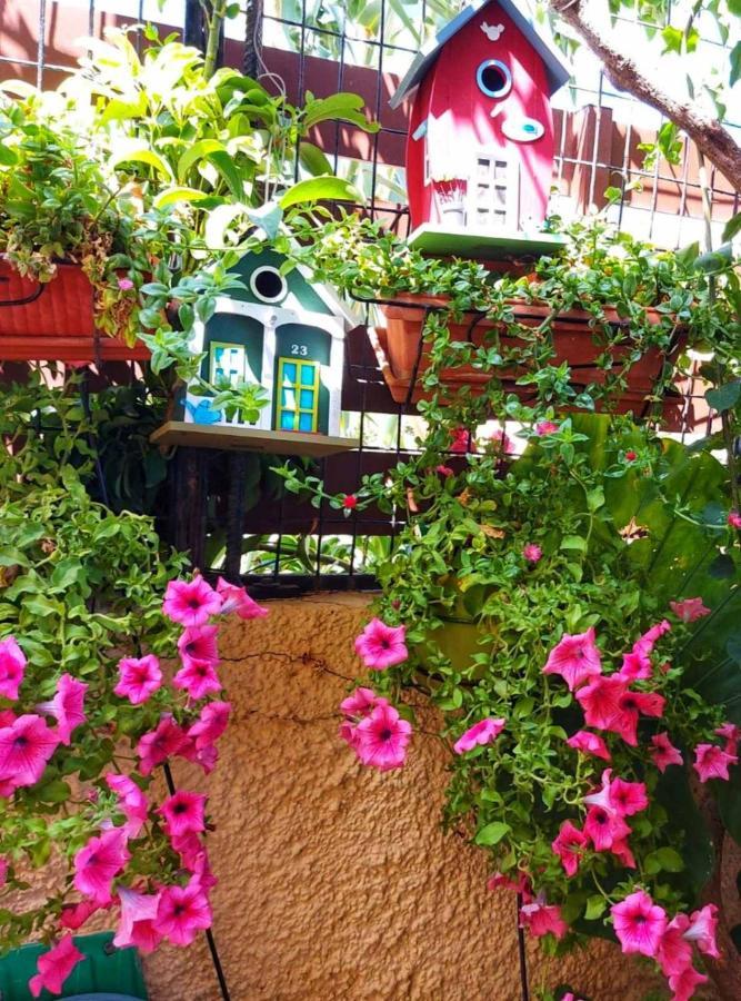 Elisavet'S House Villa Platanias  Luaran gambar
