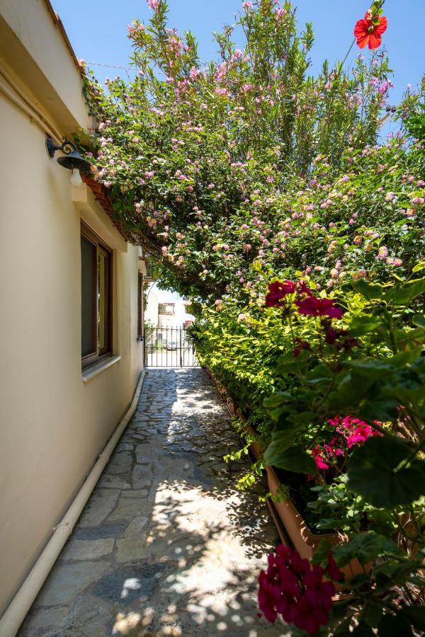 Elisavet'S House Villa Platanias  Luaran gambar